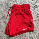 Nike Dri-Fit Running Shorts Photo 0