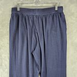 J.Crew  Jogger Sweatpants Cloud Blue Womens Size Medium Photo 6