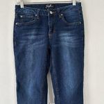 Earl Jean Womens Skinny Ankle Jeans 4 Medium Wash Denim Stretch Mid Rise Fall Photo 0