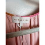 Anthropologie NWT Caballero Kendal Dress in Silky Islands Print Sz. S Photo 4