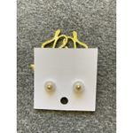 Goth Snake And Rose Big Statement Stud Earrings For‎ Women retro Punk Oversized Photo 4