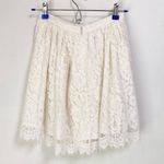 IRO | Izia Pleated Lace Knit Overlay Skirt Photo 4