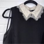 Nanette Lepore NWT  Lace Collared Pleated Shift Dress Photo 8