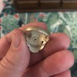 Thee turquoise and sterling rings Silver Size 5.5 Photo 3