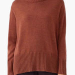 Eileen Fisher Merino Jersey Turtleneck Sweater Regenerative wool in Spice Photo 0