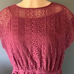 Cato 's short-sleeved shirt features a crocheted look with a tank under it. Photo 1