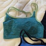 Danskin  Stylish Women's Sports Bra Set - Blue, Black, Green Size Medium Photo 2