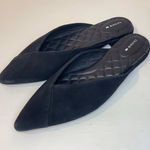 Birdies  Women’s The Swan Black Suede Mules Size 7.5‎ Photo 0