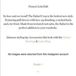 Alamour  The Label Rafael Lace Up Sleeve Crop Top in Rust Size XS Photo 8