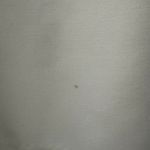 Likely White  Dress Photo 3