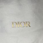 Christian Dior Dior White and Gold Logo Pouch Photo 2