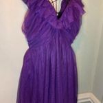 Anthropologie Maeve Ruffled Tulle Mini Dress deep Purple L Photo 0