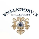 L'Argentina Women's Blouse
Long Sleeve Shirt Striped
Top Size undefined Photo 14