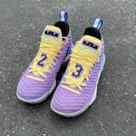 Nike Lebron Sneakers Photo 0