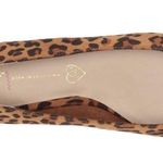 Seychelles BC By Leopard Suede Size 7M Photo 4