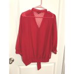 The Limited  Red Swiss Dot Sheer Bow Tie Neck Blouse XL Womens Career Work Blouse Photo 3