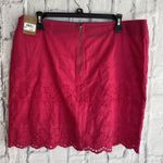 G.H. Bass & Co. NWT Pink Eyelet Cottagecore Mini Skirt Size 12 Photo 5