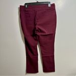 Joe B  Burgundy Trousers (221) Photo 2
