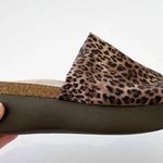 Munro  Leopard Print‎ Elastic Slide Sandals Women’s Size 9.5 WW Comfort Shoes EUC Photo 1