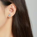 Sterling Silver 925  Sea Turtle Stud Earrings Photo 4