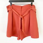 Free Press Paperbag Tie Waist Shorts Photo 0