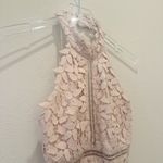 Bardot  Gemma Lace Halter‎ Dress in Light Champagne Pink XS Photo 9
