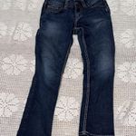 Silver Jeans  Dark Blue Straight Leg Women's Jeans Photo 0