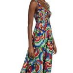 Farm Rio size large midi sun dress Chevron toucans Vibrant Zigzag Photo 14