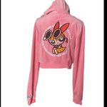 Dolls Kill RARE SOLD OUT  x Powerpuff Girls Blossom Velour Hoodie Pink Y2K
L Photo 9