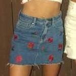 PacSun Denium Rose Skirt Photo 0