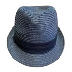 Target  Fedora Hat Black One Size Photo 0