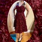 Anthropologie  Tracy Reese Maroon 3D Floral Rose Cocktail Dress NWT Photo 4