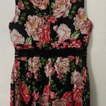 Disney  Black Floral Fit & Flare Dress Med Coquette Whimsigoth Fairy Princess Photo 1