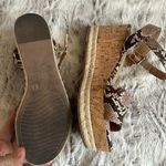 Michael Shannon Snake Print Wedges Photo 1