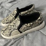 Qupid Snakeskin Slipons Photo 0