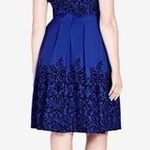 City Chic Woman's L/20 Blue V Neck Fit and Flare Knee Length Dress Velvet Accent Photo 1