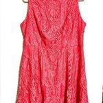Maurice's ’Hot Pink Fit’n’Flare Lace Dress size XL (fits like 12) Photo 0