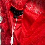 Endless Rose  Red Body Con Lace Dress, New with Tags, Size Large Photo 5