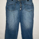 Torrid ‎ | Woman’s Wide Leg Flare Crop Jeans 22 Button Fly Photo 0