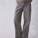 Urban Outfitters  leopard low rise jeans BDG Photo 2