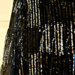 ZARA  NWT BLOGGER FAVORITE  SEQUIN appliqué FRINGED BLACK/SILVER MINI DRESS L Photo 8