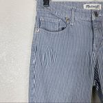 Madewell White & Blue Striped Zip Ankle Skinny Jeans Photo 2