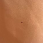 Lands' End Women's Shift Dress Size 2 Peach Orange Sleeveless Lined Photo 6