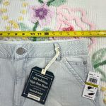 Democracy Womens Size 14 AbSolution High Rise Shorts Blue Stripe Frayed Hem Photo 3