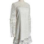 Alexis  Callisto White Lace Mini Dress Photo 6