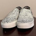 Dr. Scholls  Abbot Sz 7.5 M EU 37.5 Women's Leather Slip-On Shoes White Crackle Photo 7