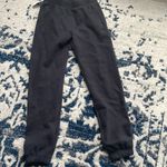 Aritzia Sweatpants Photo 0