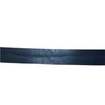 Isabel Marant Zaph silver Buckle Belt Photo 11