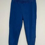 Banana Republic Factory Blue Joggers Sweatpants Comfy Size M Photo 0