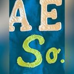 Aeropostale University So. Cal Blue Zip Front Hoodie Sweat Jacket size Medium Photo 3